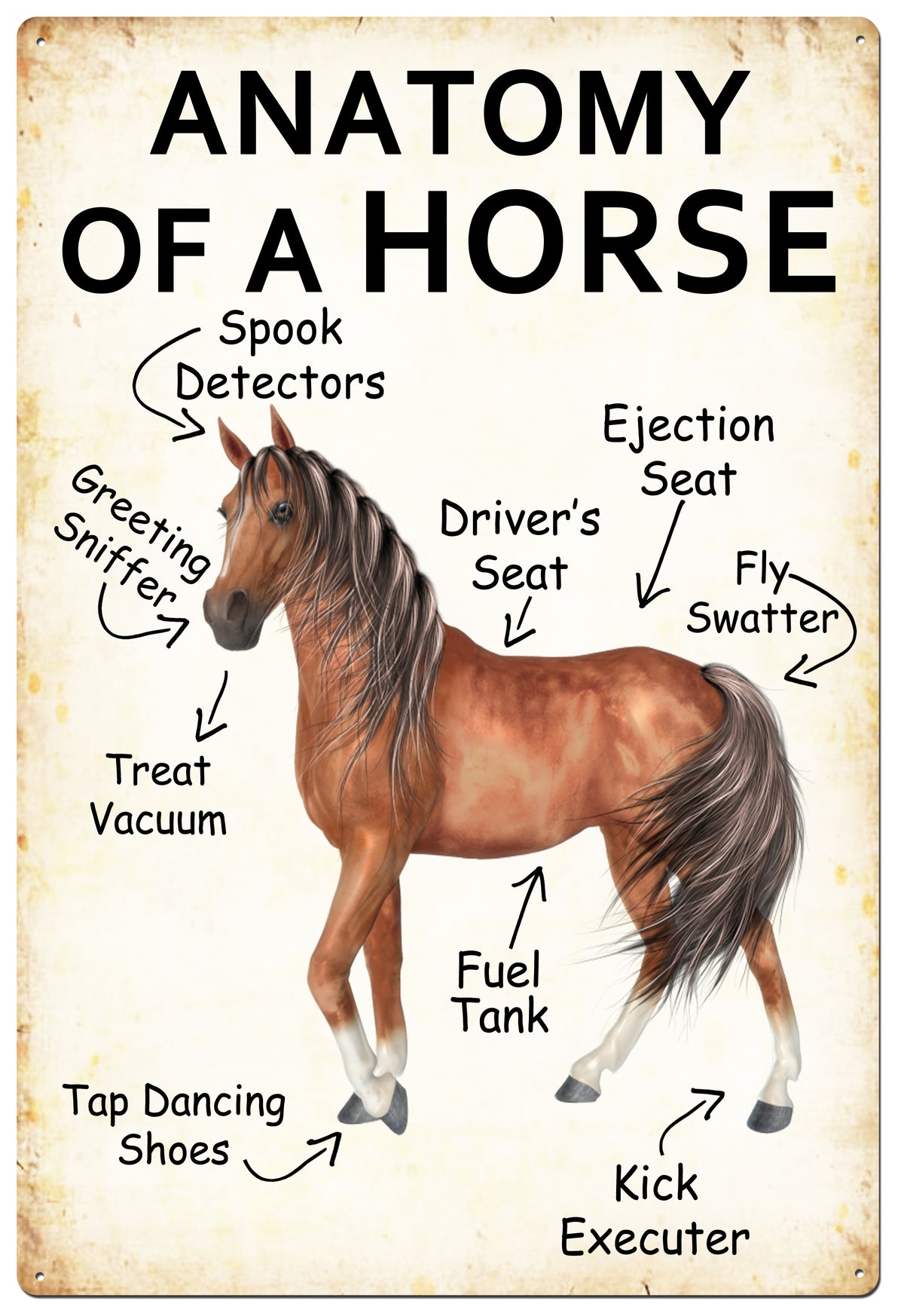 Tulmur Horse Anatomy Tin Sign