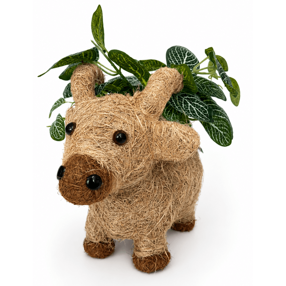30cm Jersey Cow Husk Planter Urban Products