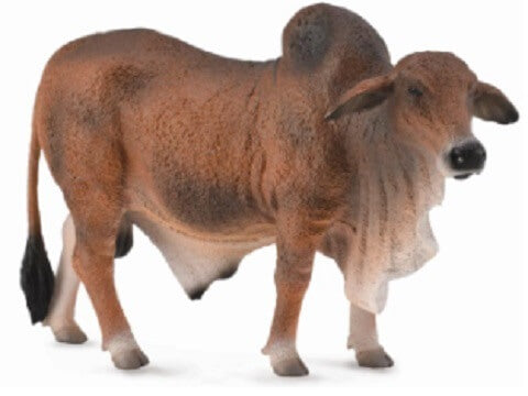 Collecta Red Brahman Bull