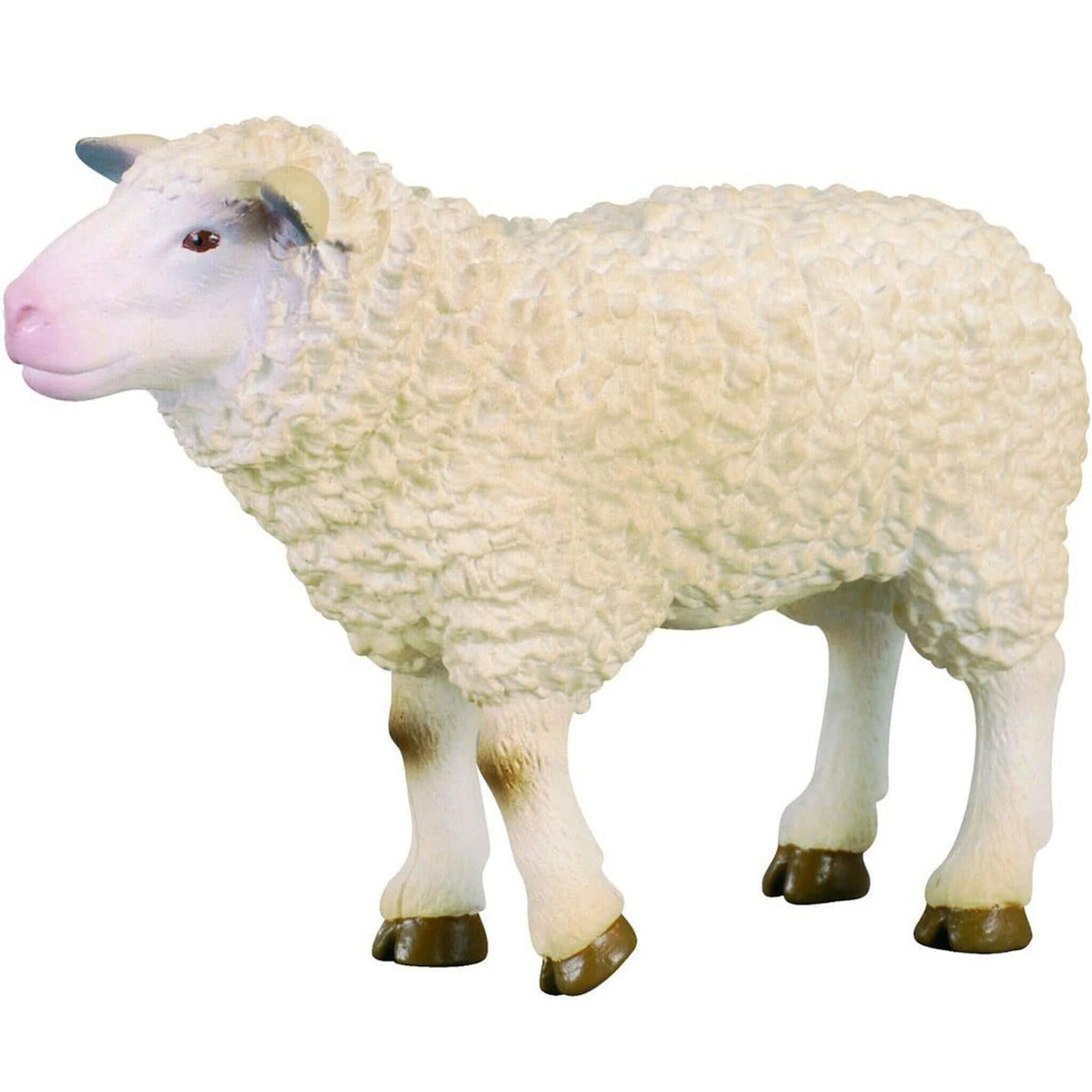 Collecta Sheep