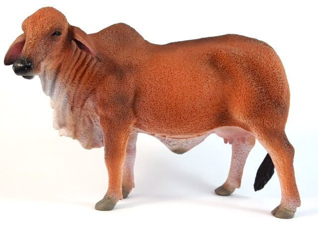 Collecta Red Brahman Cow