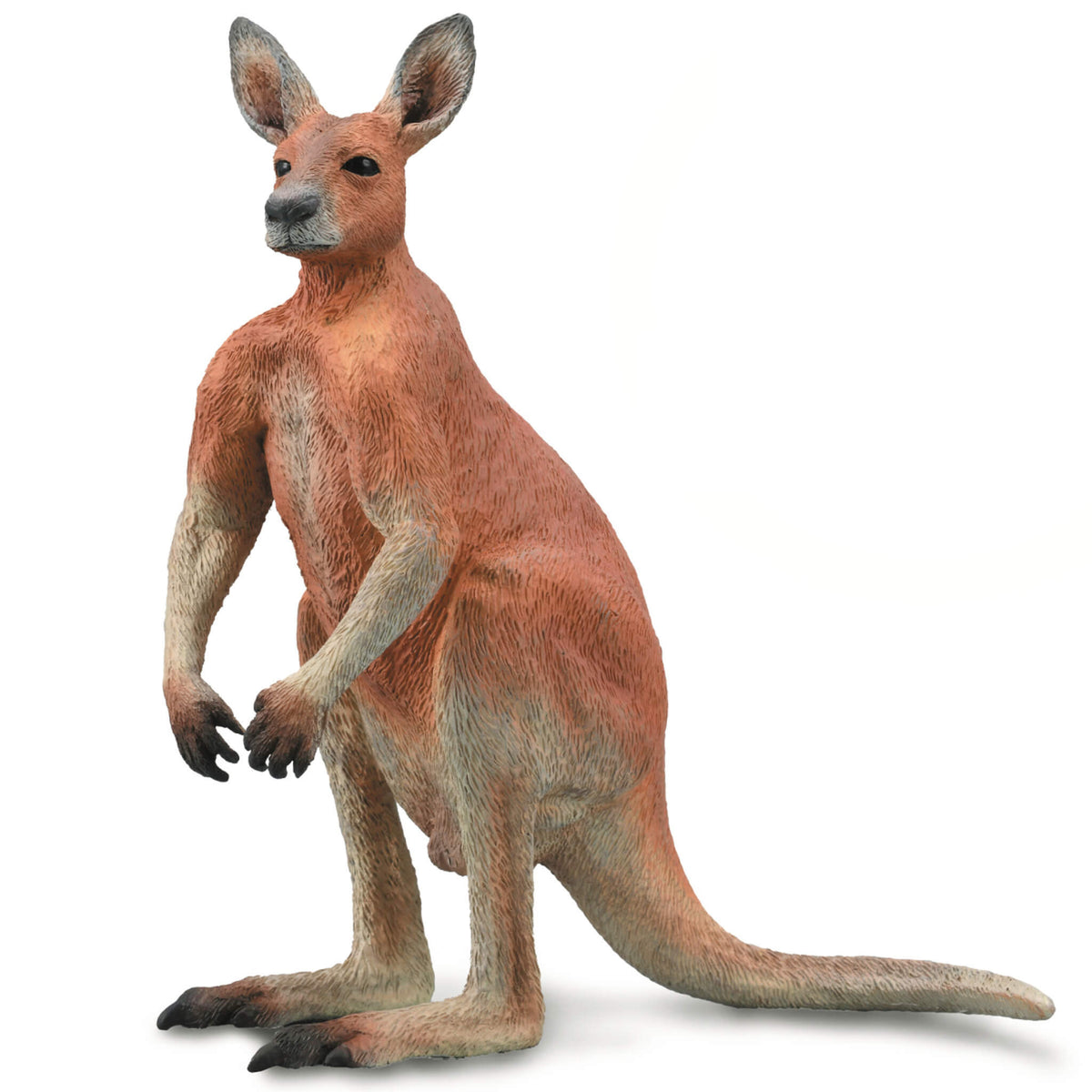 Collecta Red Male Kangaroo
