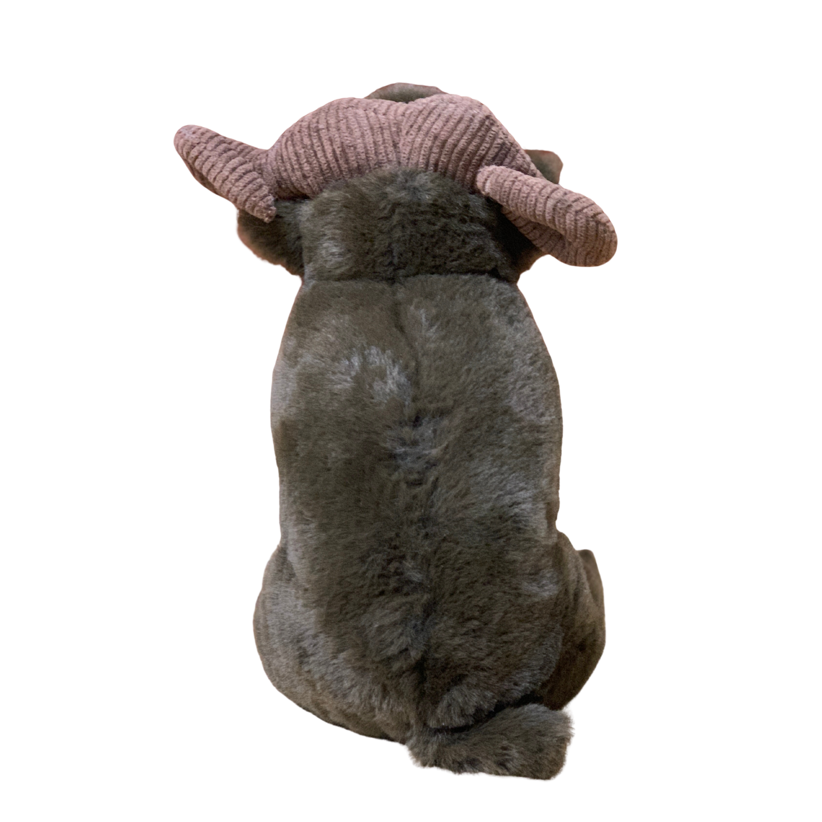 Dog wearing a Star Wars Rancor costume on a white background