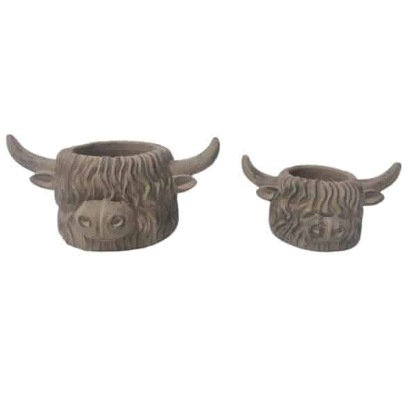 Hamish Highland Cow Planter-Large Want Giftware