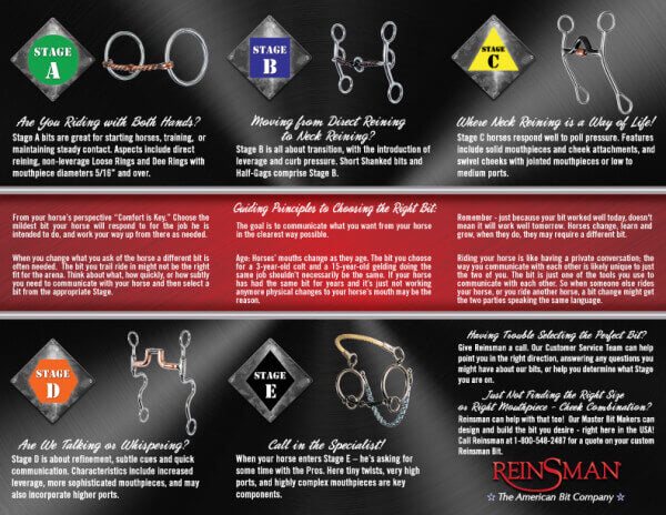 Reinsman Stage B Rosie Chain Gag Bit