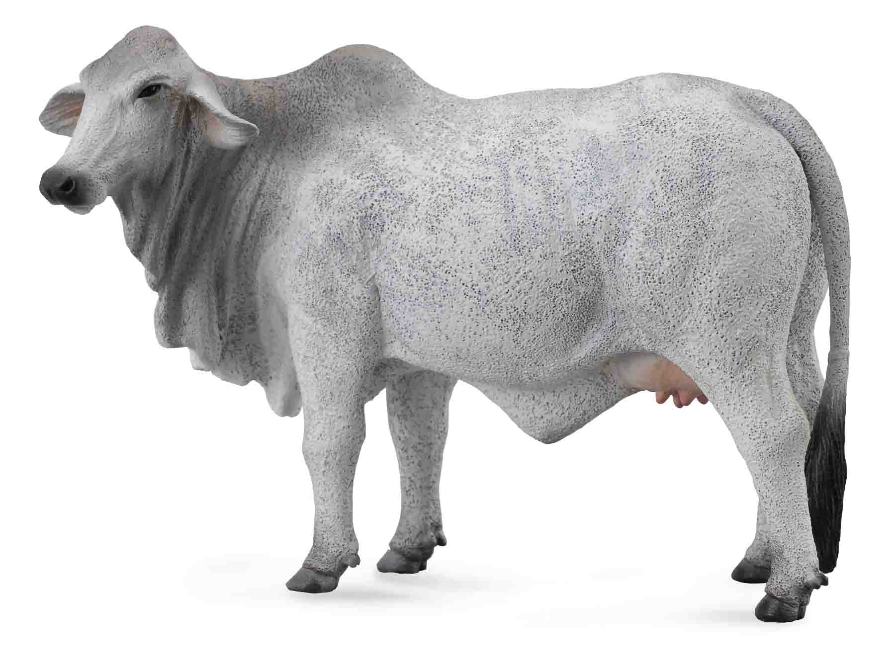 Collecta Grey Brahman Cow