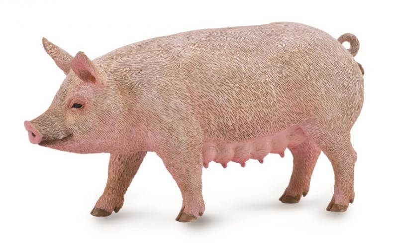 Collecta Sow Pig