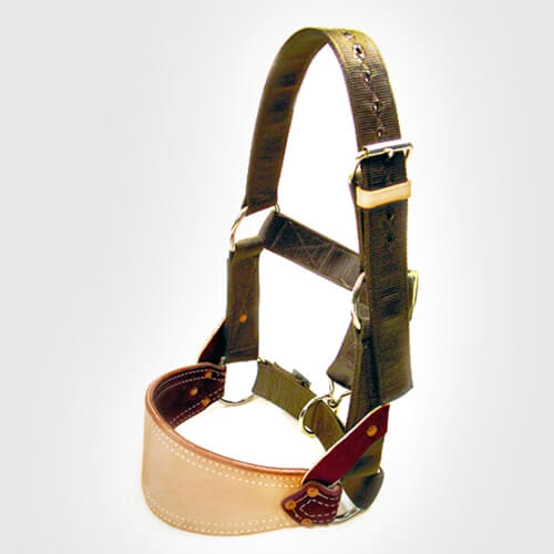 Barstow Nylon Bronc Halter. A nylon bronc halter with a wide leather nose band and heavy-duty steel sliders and snap for adjustability.