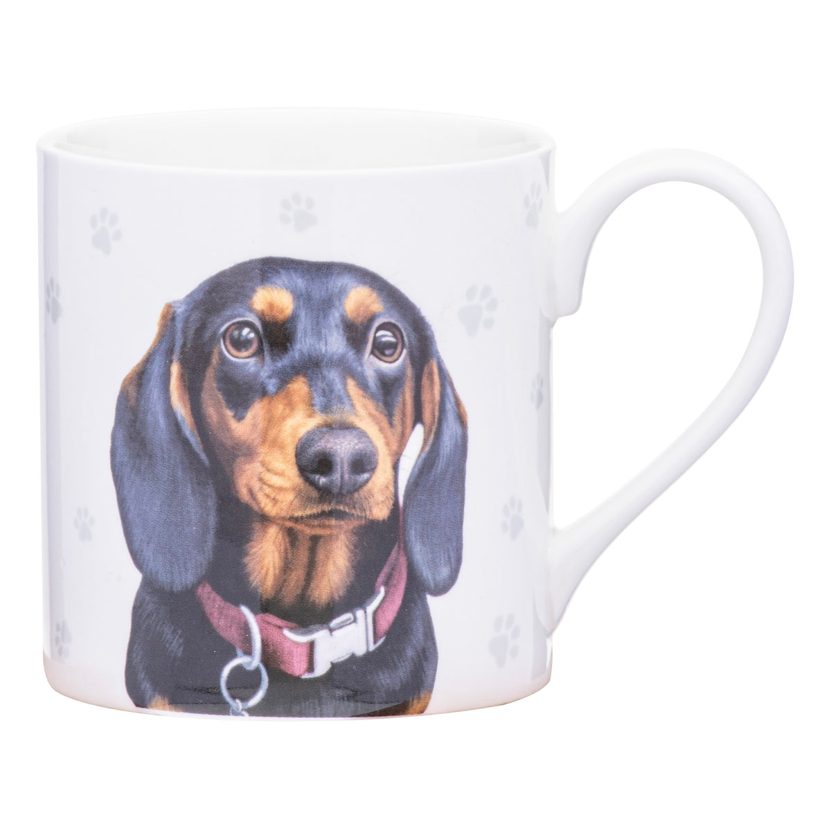 Ashdene Paws &amp; All Dachshund Mug