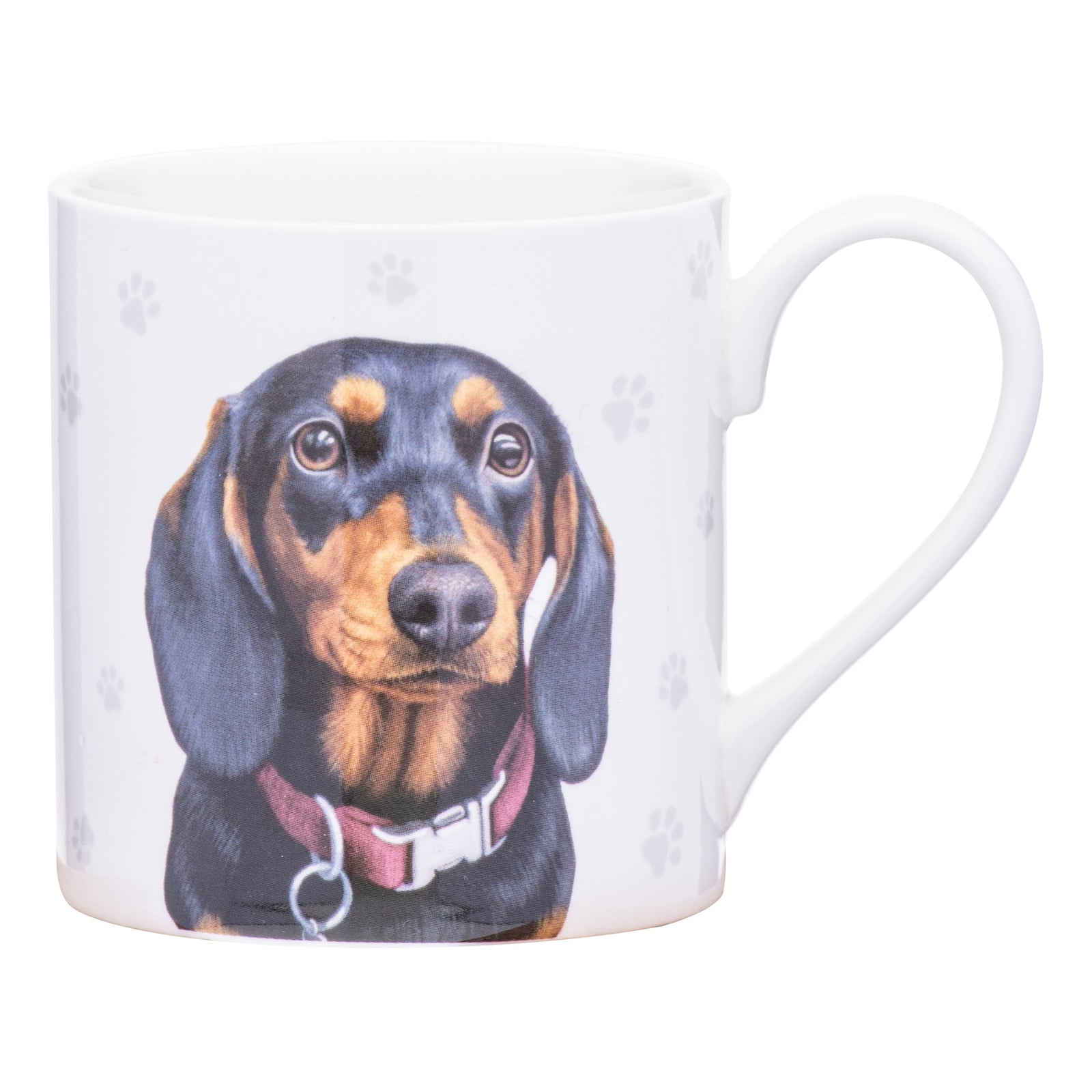 Ashdene Paws & All Dachshund Mug