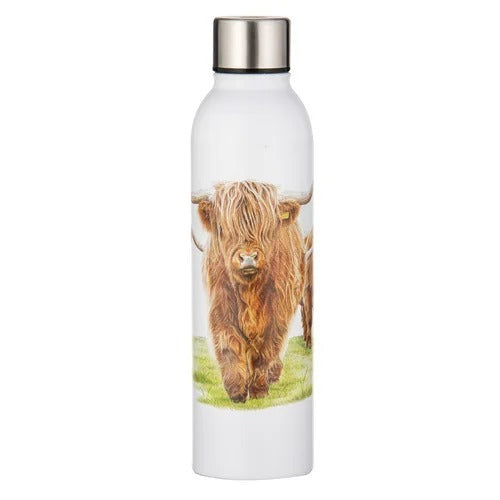 Ashdene Highland Herd Drink Bottle. A white stainless steel drink bottle with an illustration of a Highland cow on it, designed by Harriet Blaskett.