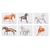 Ashdene Horses By Charlotte 6pk Placemat. Set of six horse coasters on a white background