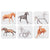 Ashdene Horses By Charlotte 6pk Coaster. Set of six coasters with horse illustrations on a white background