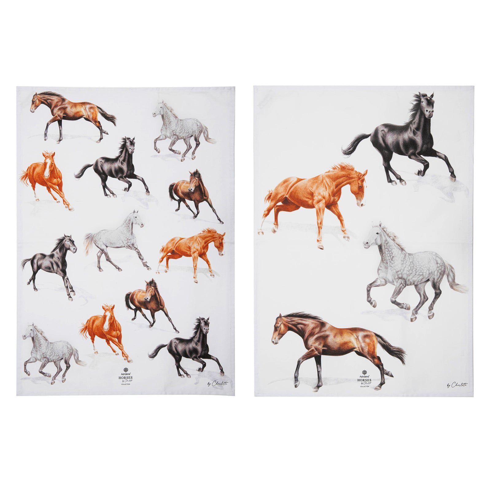 Ashdene Horses By Charlotte 2pk Kitchen Towel. Iillustrations of horses on a white background