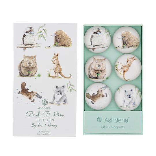 Ashdene Bush Buddies glass magnets packaging with illustrations of animals on a white background.