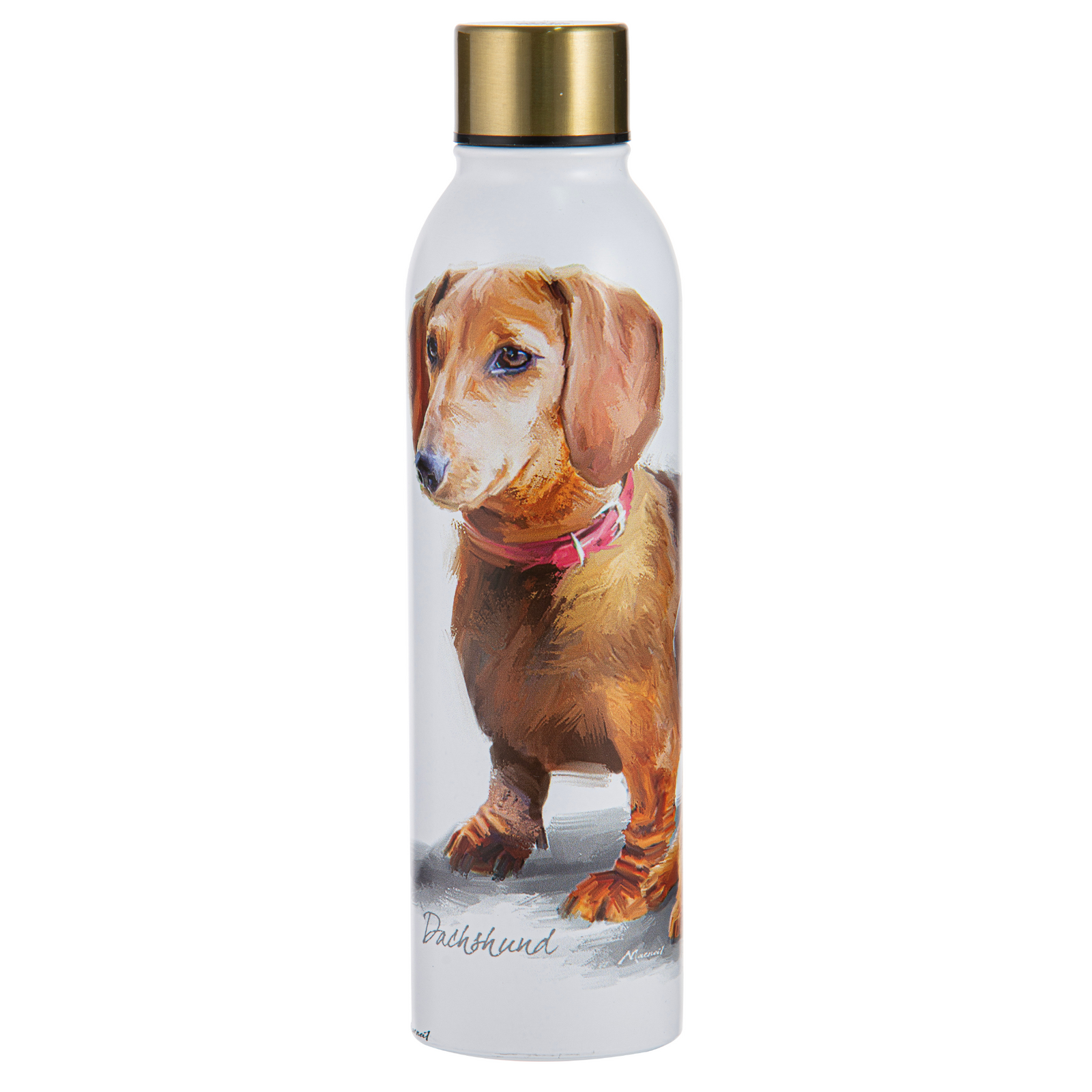 Ashdene Puppy Love Dachshund Drink Bottle. Water bottle with a dachshund design on a white background