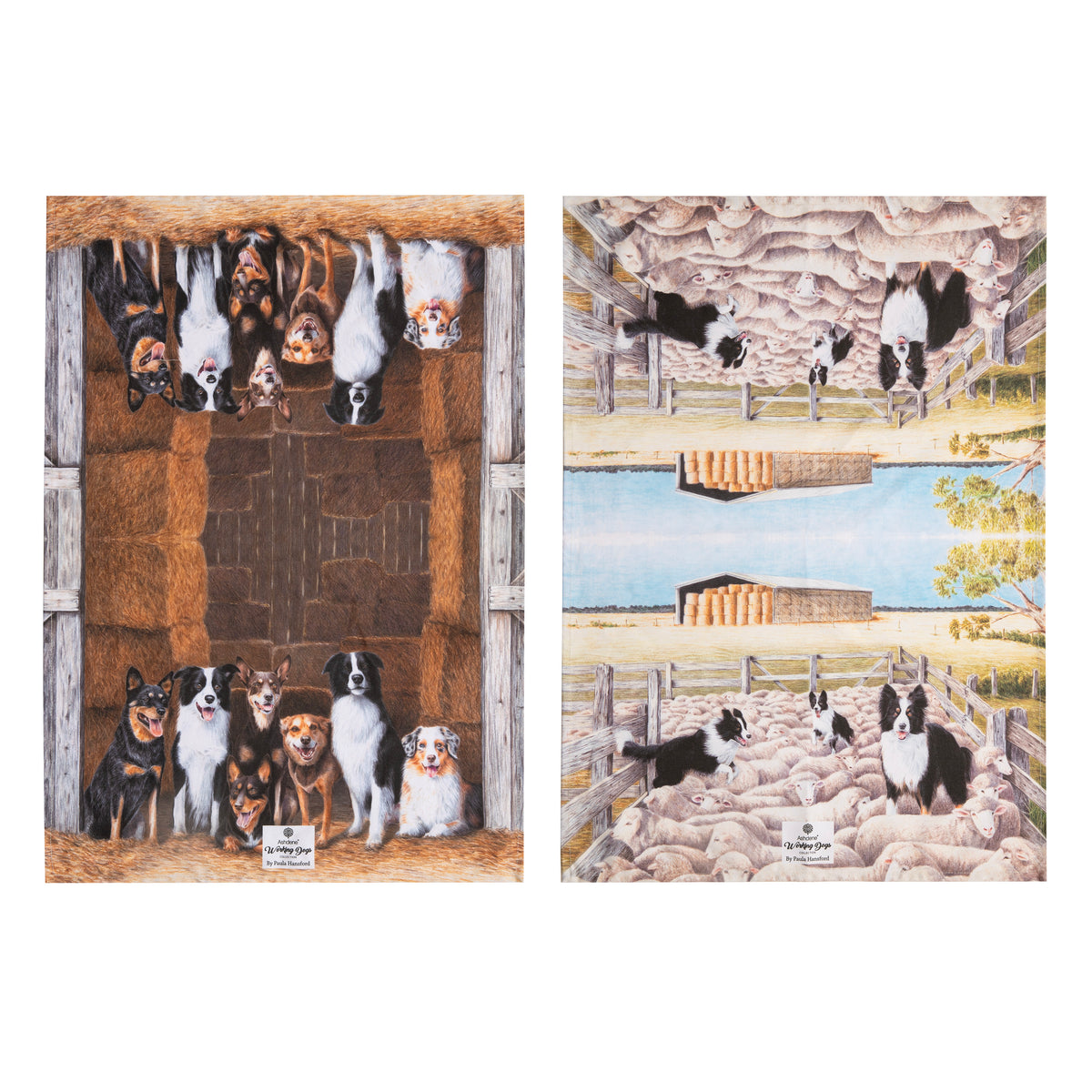 Ashdene Working Dogs Farm 2pk Kitchen Towel. Two panels showing dogs in a barn and on a farm with sheep.
