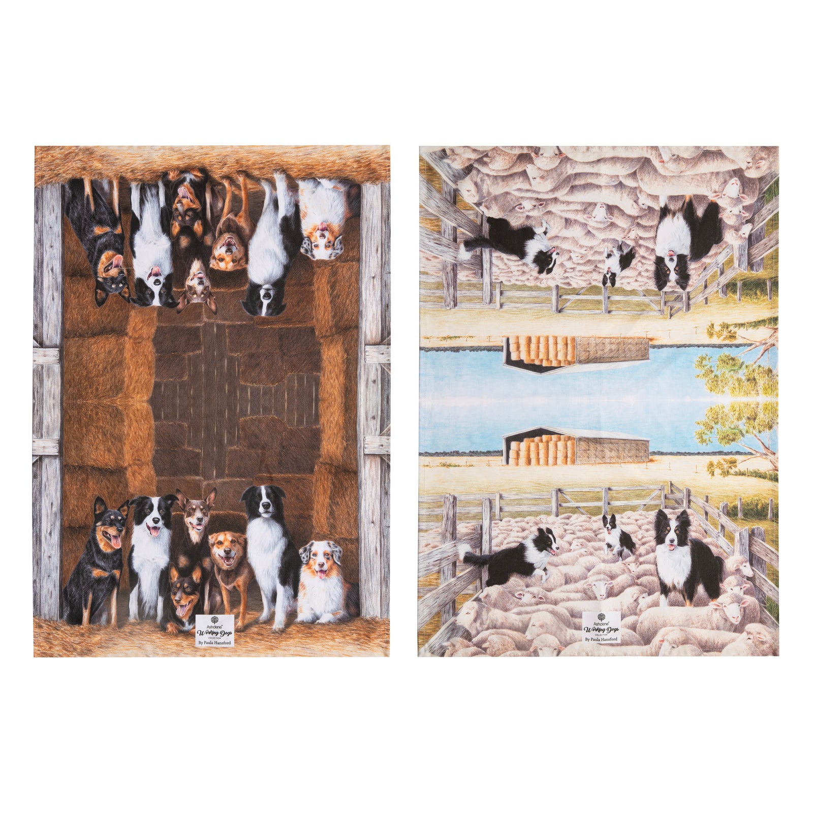 Ashdene Working Dogs Farm 2pk Kitchen Towel. Two panels showing dogs in a barn and on a farm with sheep.