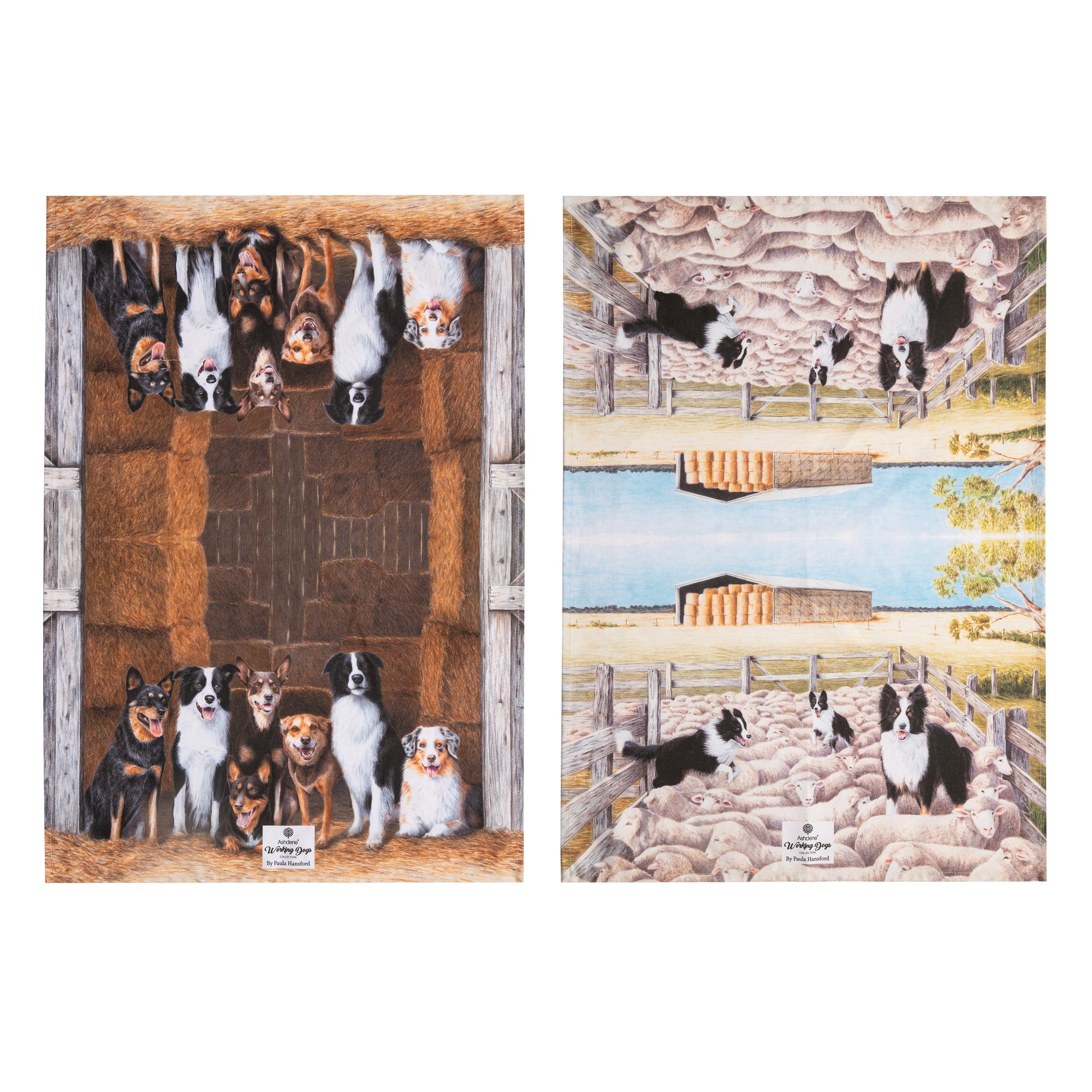Ashdene Working Dogs Farm 2pk Kitchen Towel. Two panels showing dogs in a barn and on a farm with sheep.