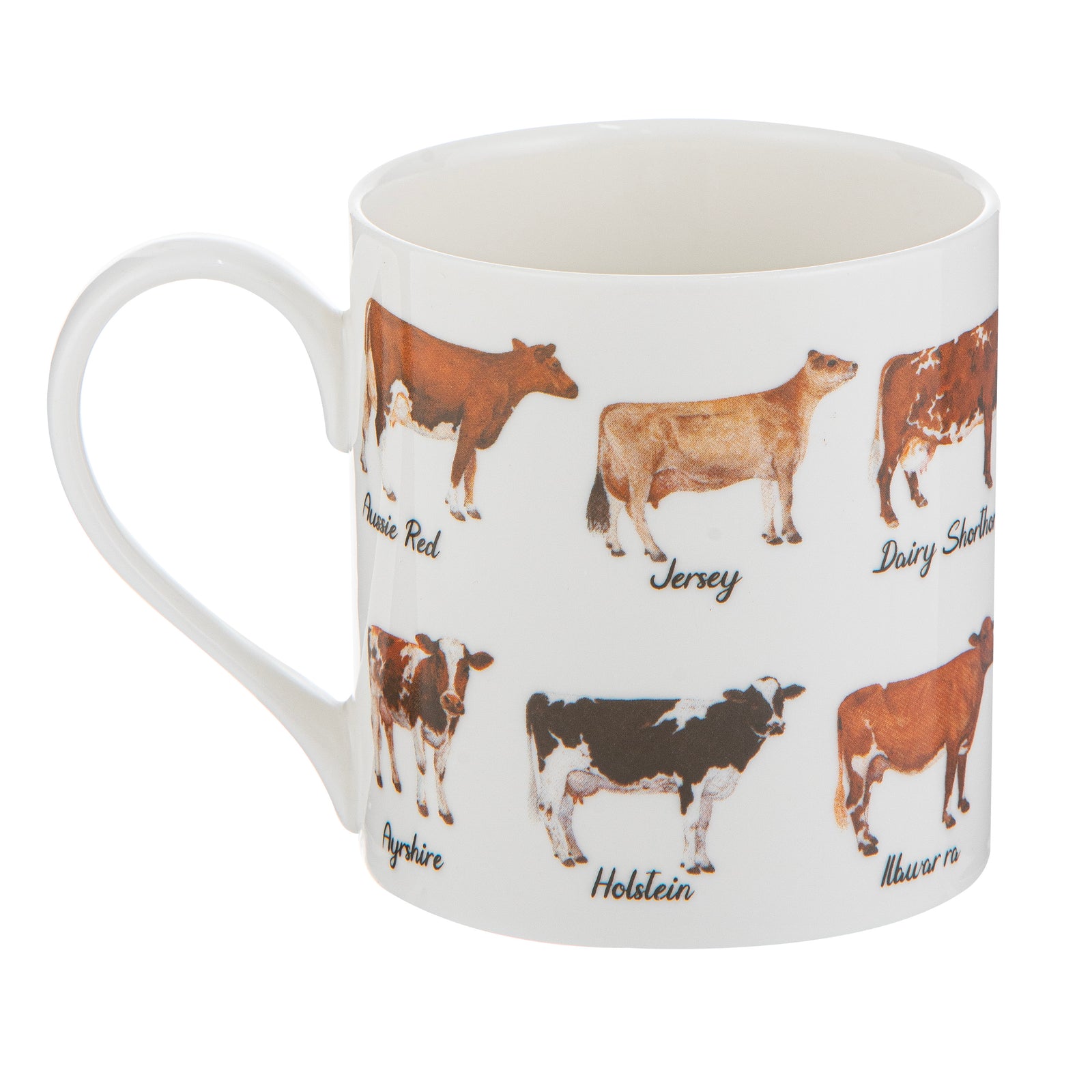 Mug with illustrations of different breeds of cows on a white background