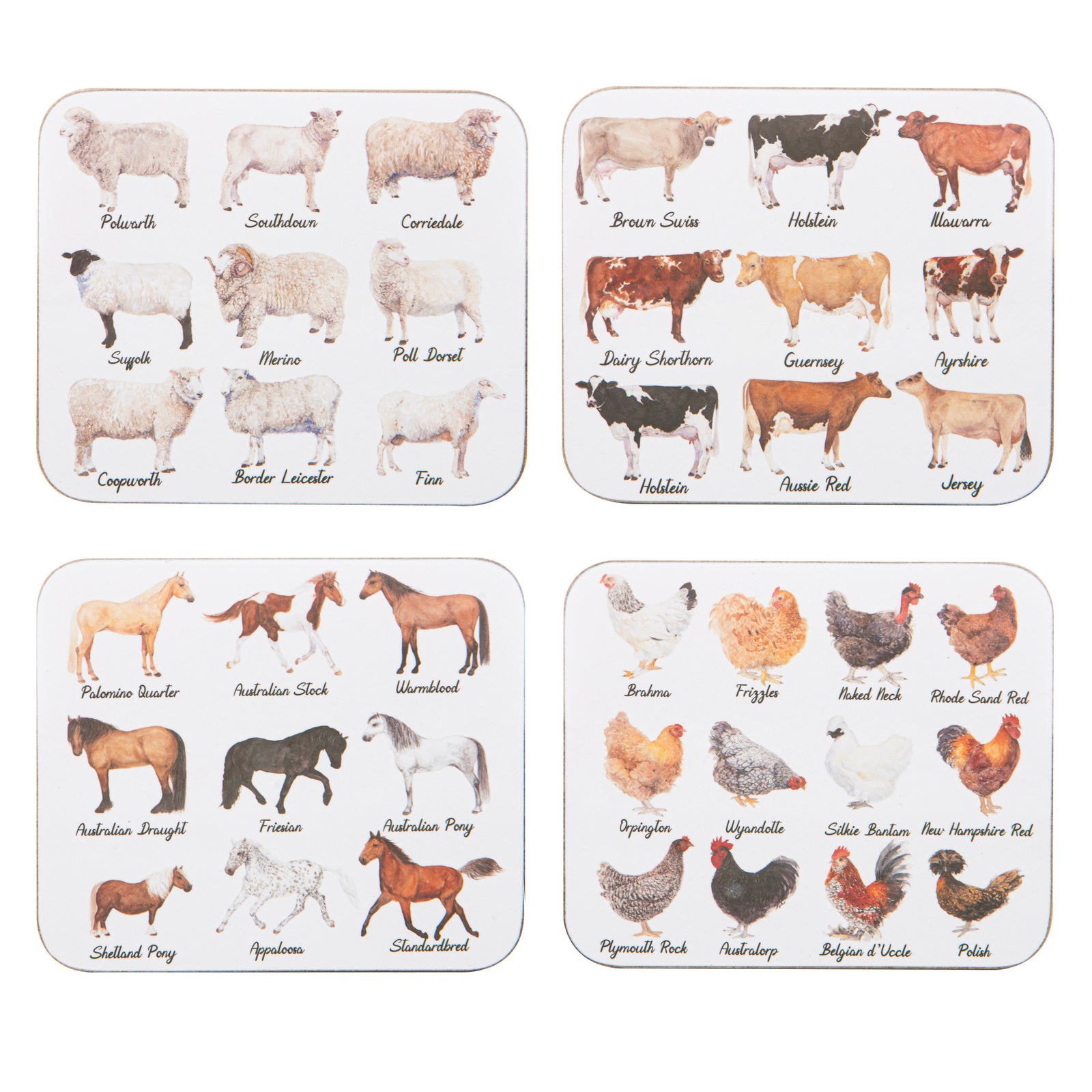 Set of animal coasters with various breeds labeled on a white background