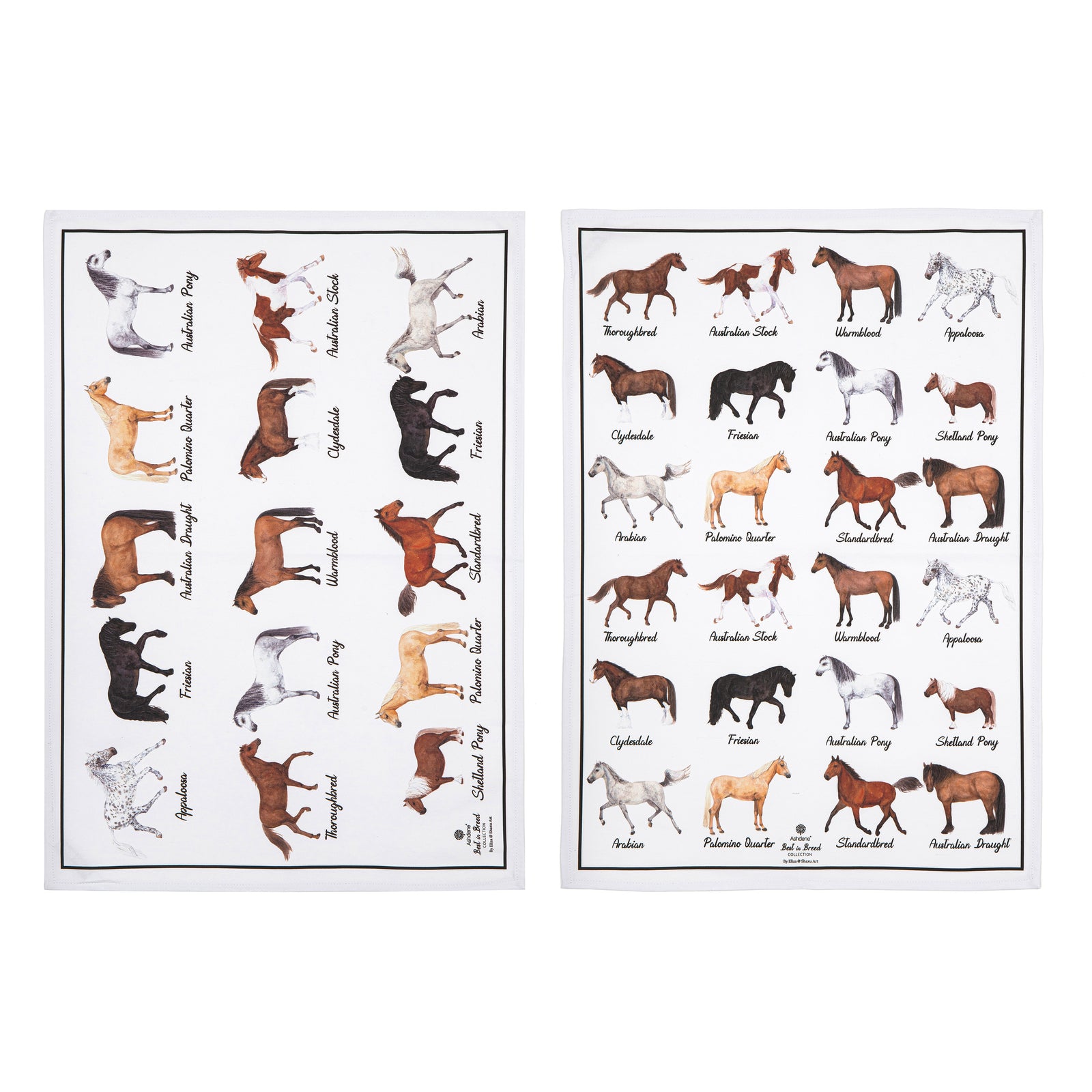 Two posters showing different breeds of horses on a white background