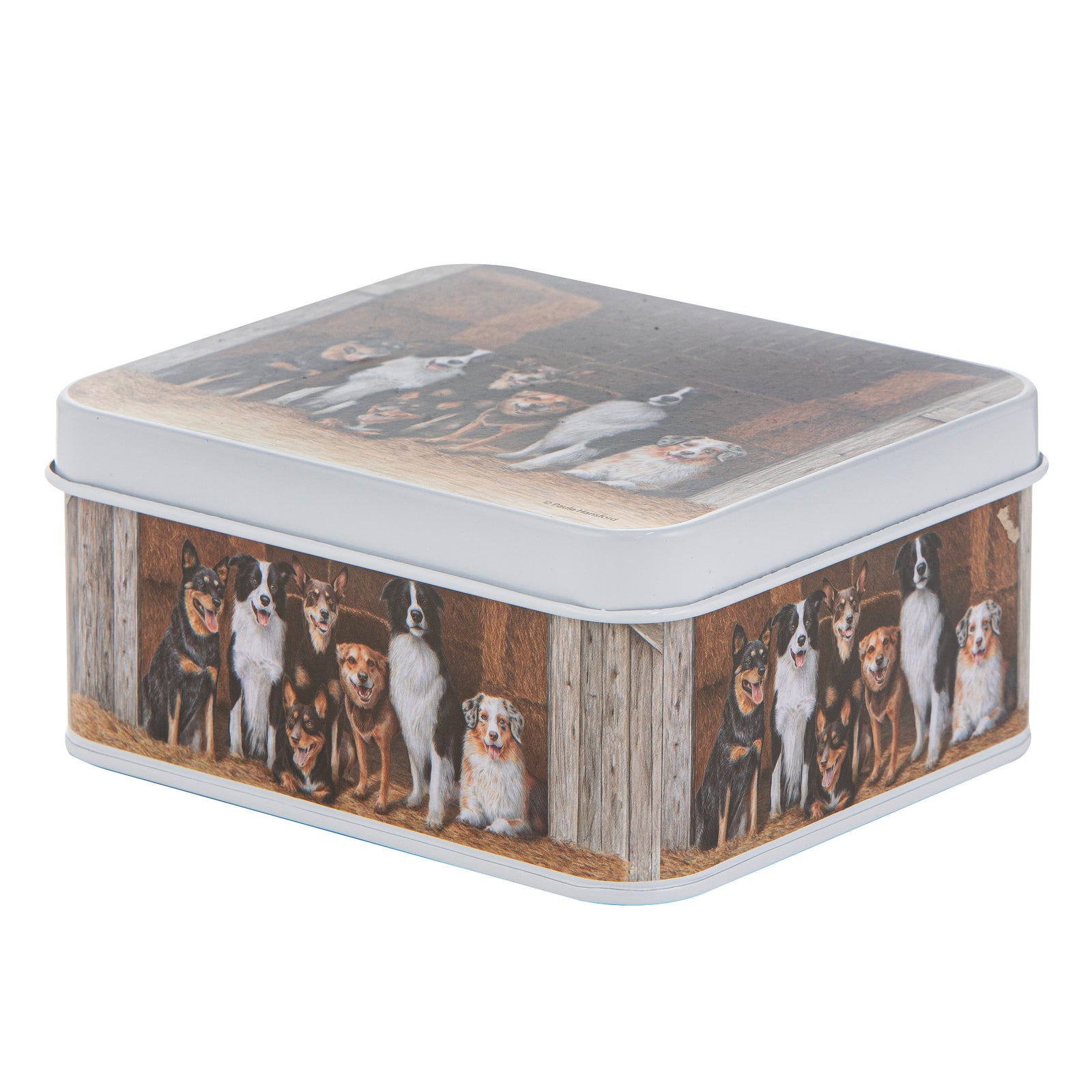 Rectangular tin box with dog illustrations on a white background