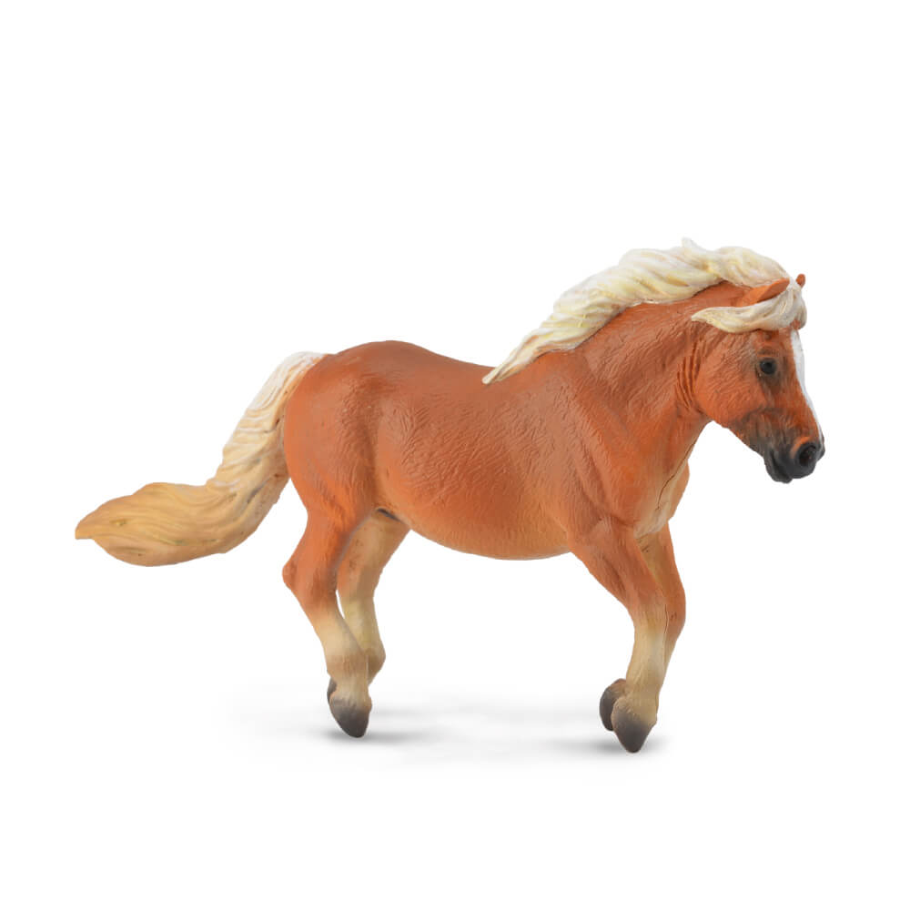Collecta Shetland Pony