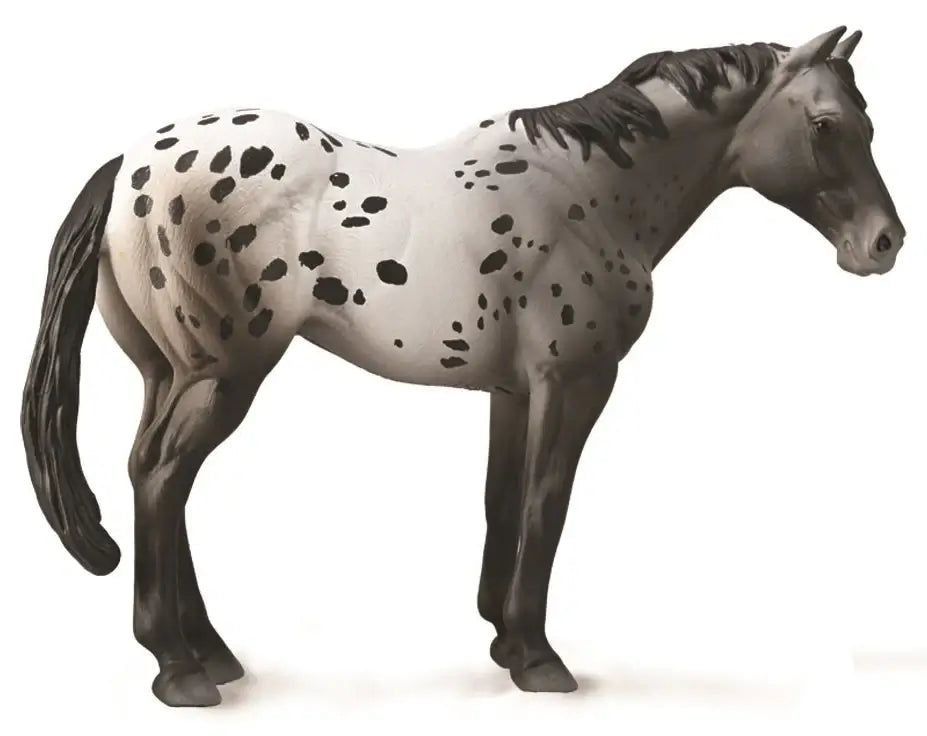 Collecta Appaloosa Blue Roan