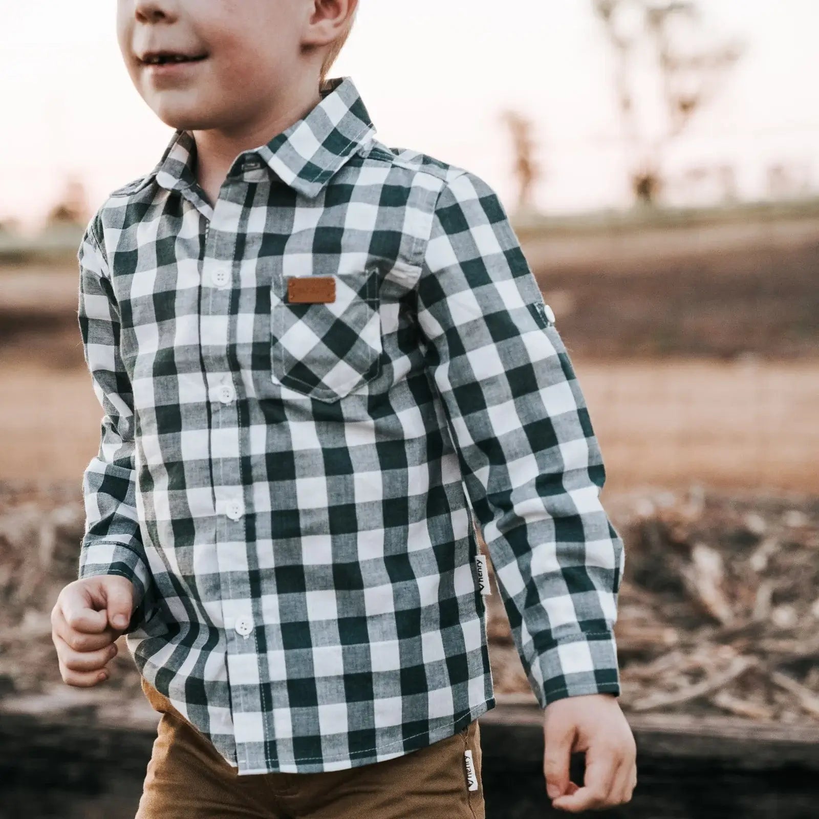 Love Henry Boy's Dress Shirt Large Green Check