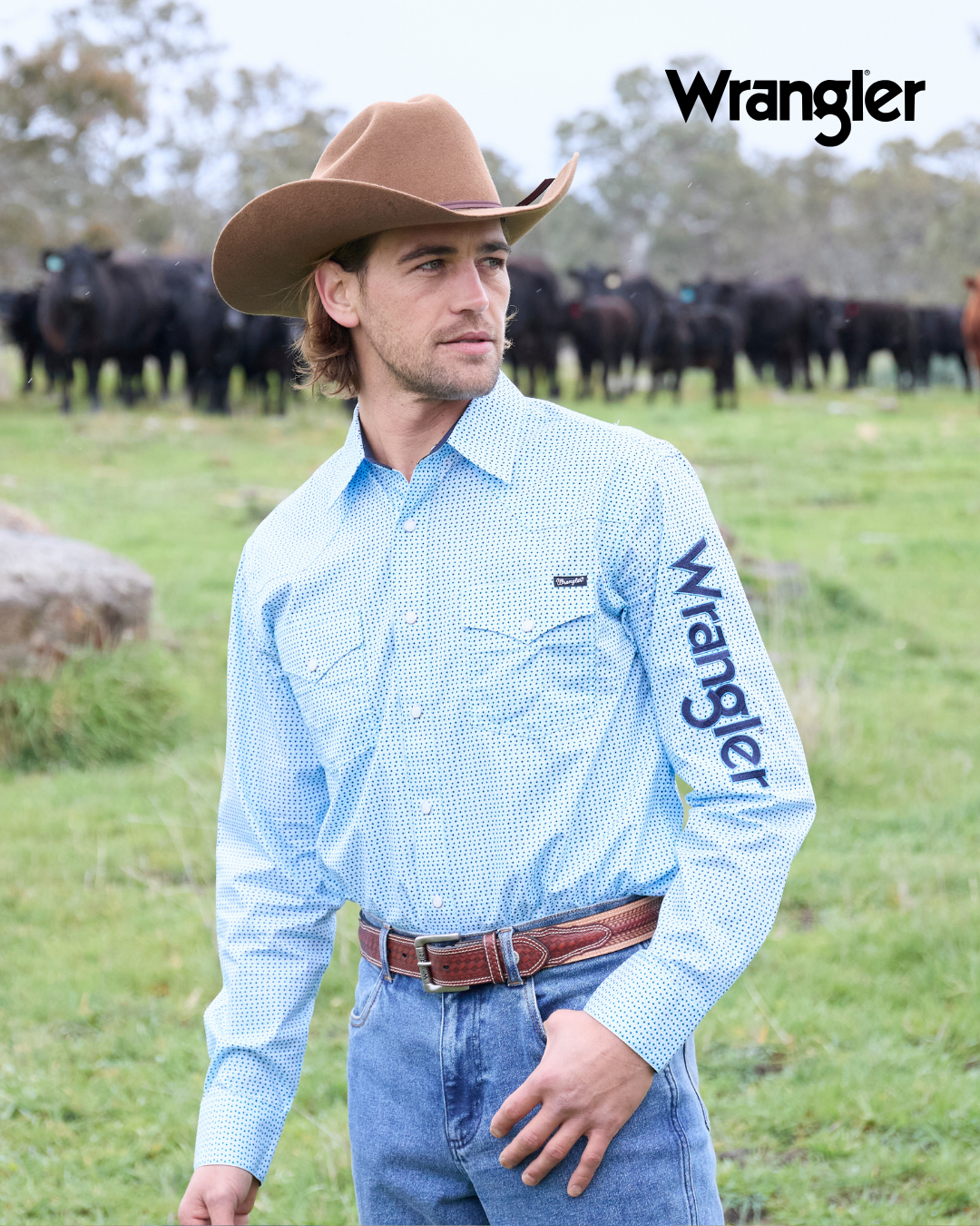 Man wearing a blue Wrangler shirt and cowboy hat in a grassy field with cows.