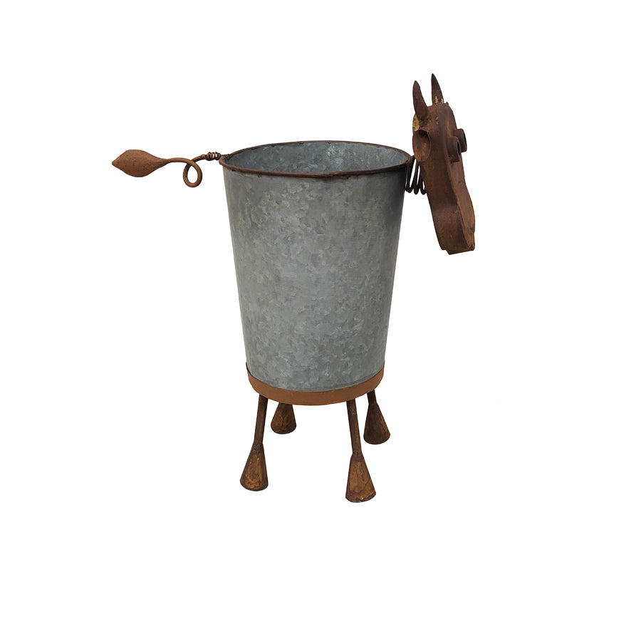 Rusty Cow Planter w/ Galv Pot. Metal bucket with cow head and legs on a white background
