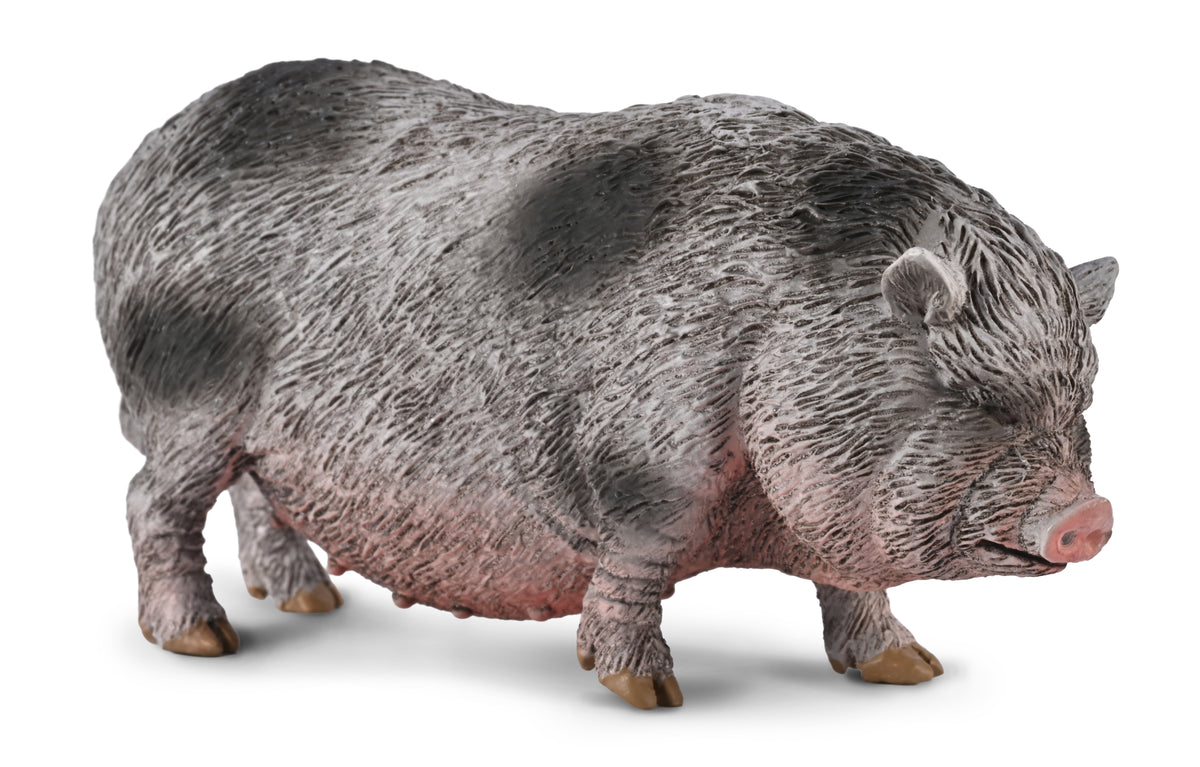 Model of a boar on a white background