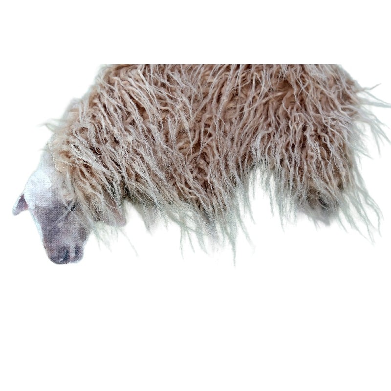 Long-Haired Sheep Hand-Made Framed Canvas Wall Art. Close-up of a sheep's face with shorn wool on a white background