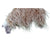 Long-Haired Sheep Hand-Made Framed Canvas Wall Art. Close-up of a sheep's face with shorn wool on a white background