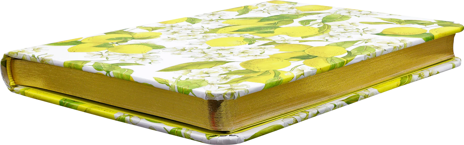 Amalfi Lemons Small Journal