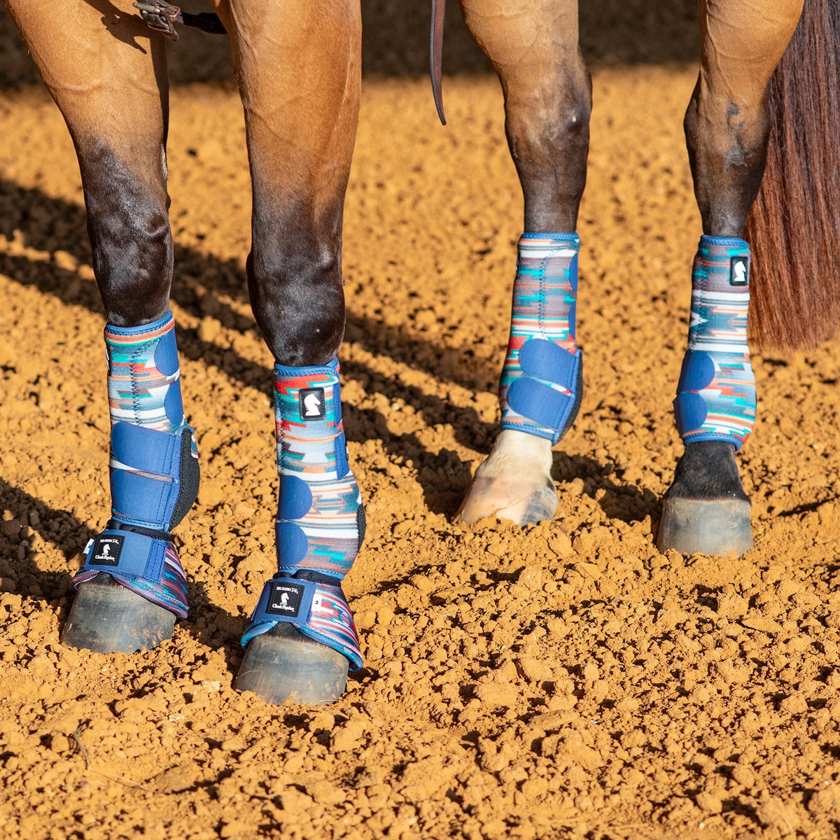 Classic Equine Legacy2 Pueblo Full Set Support Boots. Horse legs with blue protective boots on a dirt ground