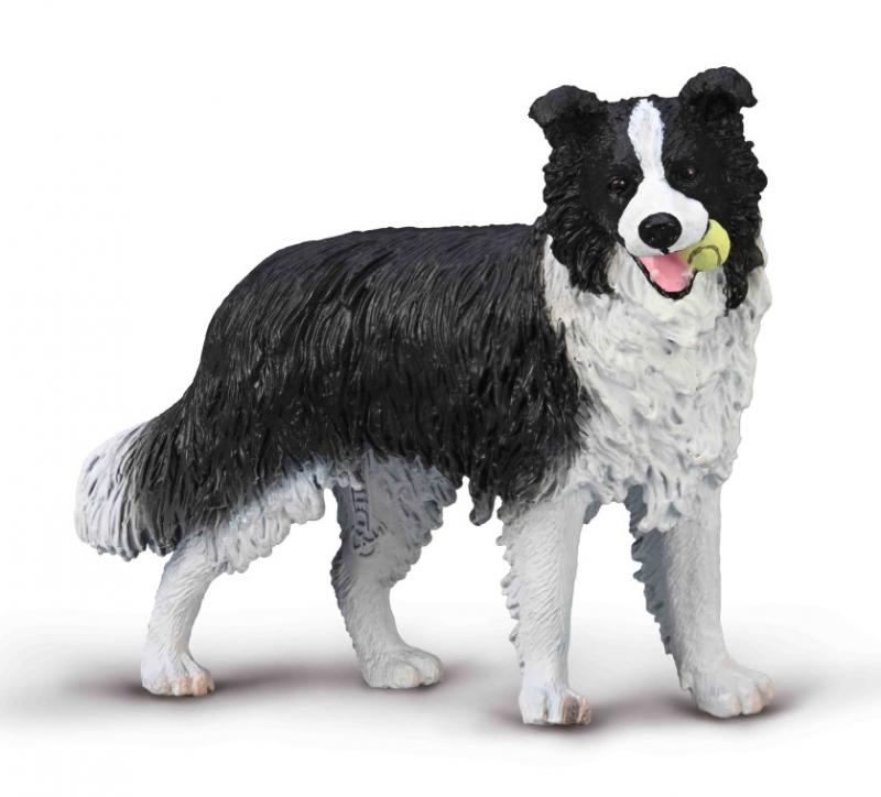 Collecta Large Border Collie. A realistic toy model of a Border Collie with a predominantly black and white coat, standing upright.