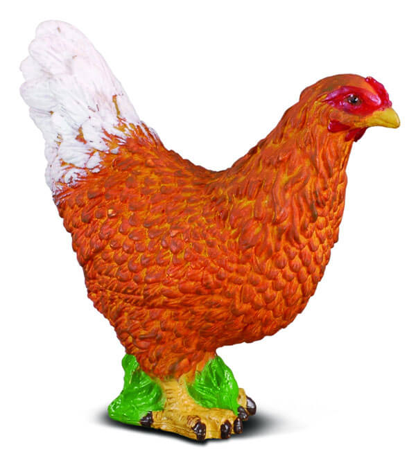 A Collecta toy hen with realistic details, predominantly orange and white in color, standing on a green base.