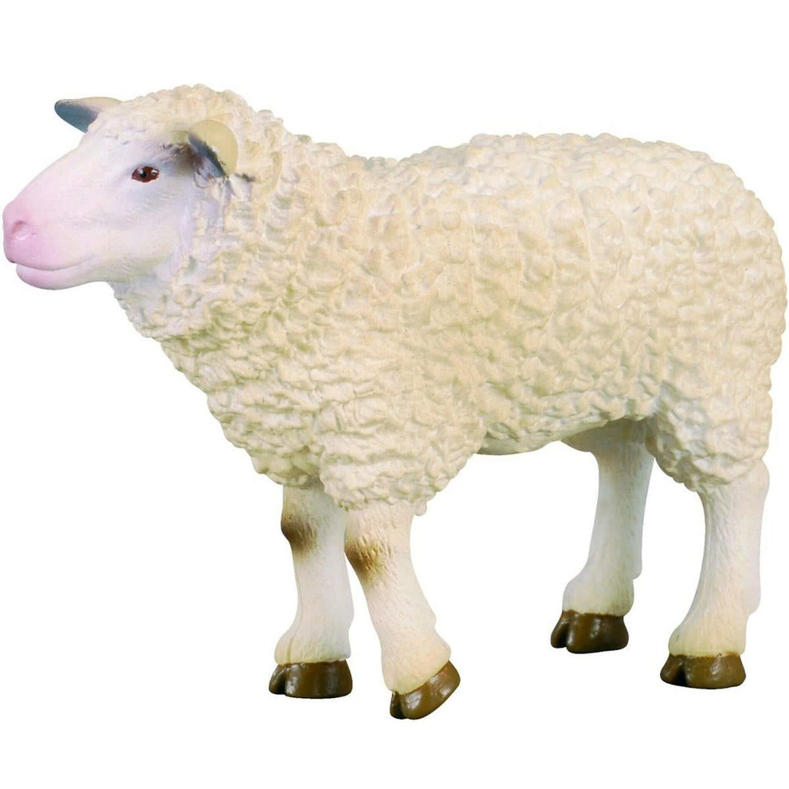 A Collecta Sheep figurine, highly detailed and made from durable material, depicting a realistic sheep with a white coat, standing upright.