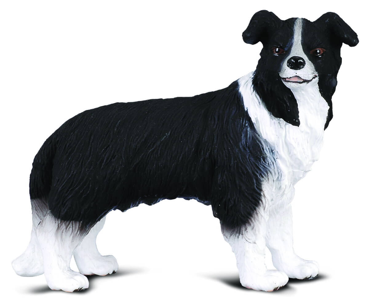 Collecta Border Collie