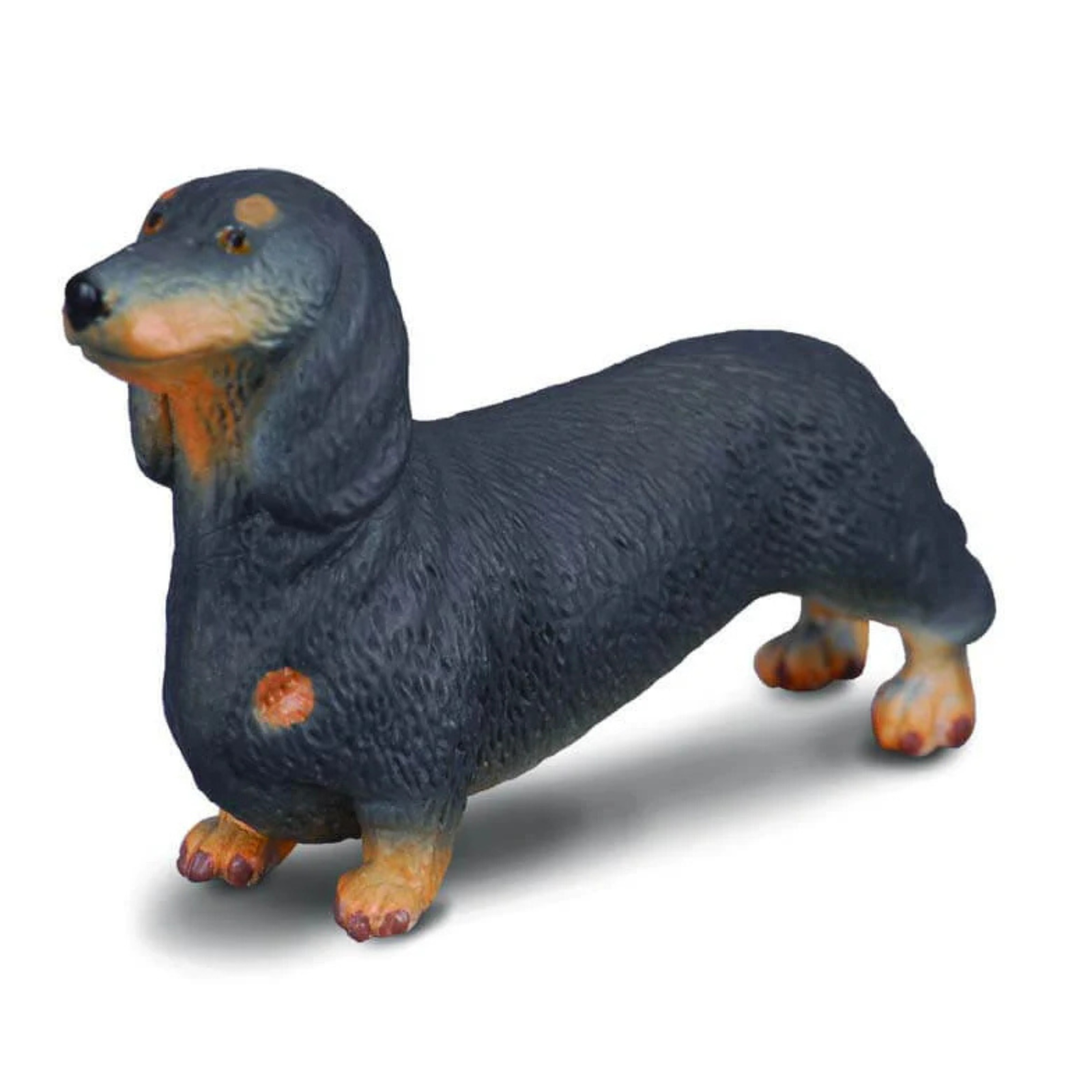 Collecta Dachshund. Toy dachshund figure on a white background