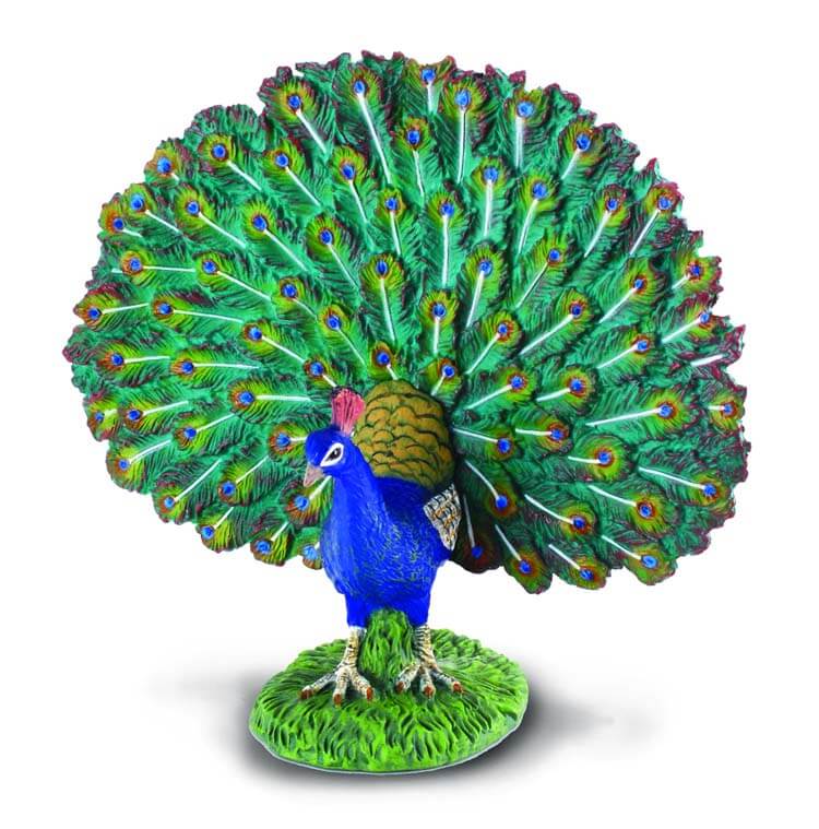 Collecta Peacock. A Collecta Peacock figurine with feathers spread out, standing on a green base.
