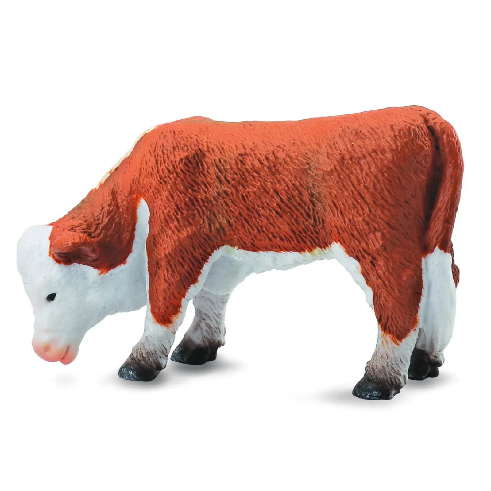 Collecta Hereford Calf Grazing. Model of a cow with red-brown fur on a white background