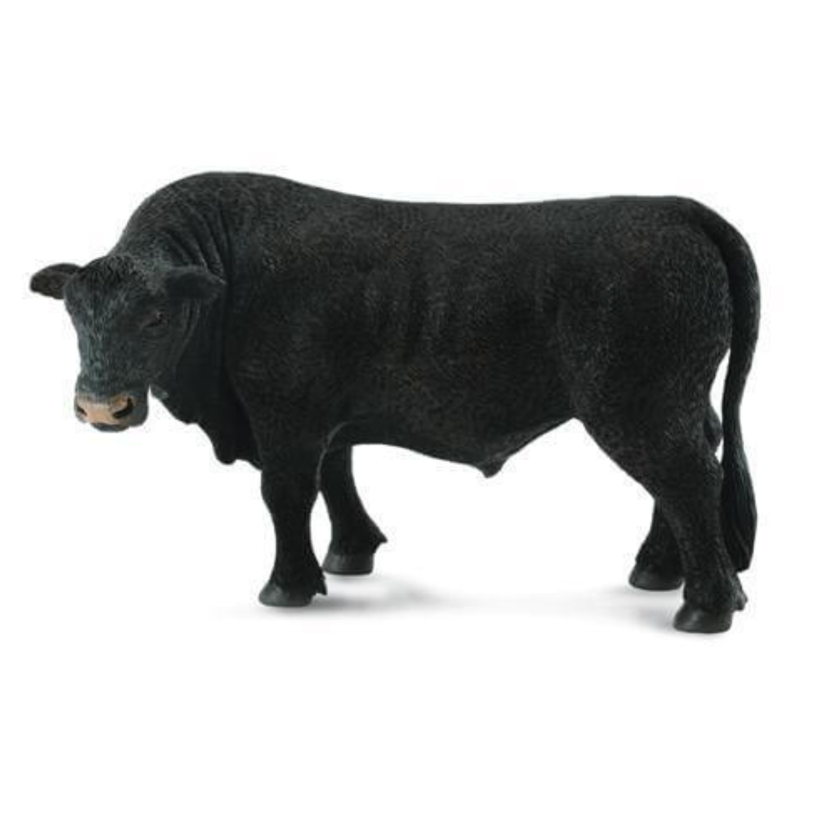 Collecta Black Angus Bull. Black bull figurine on a white background