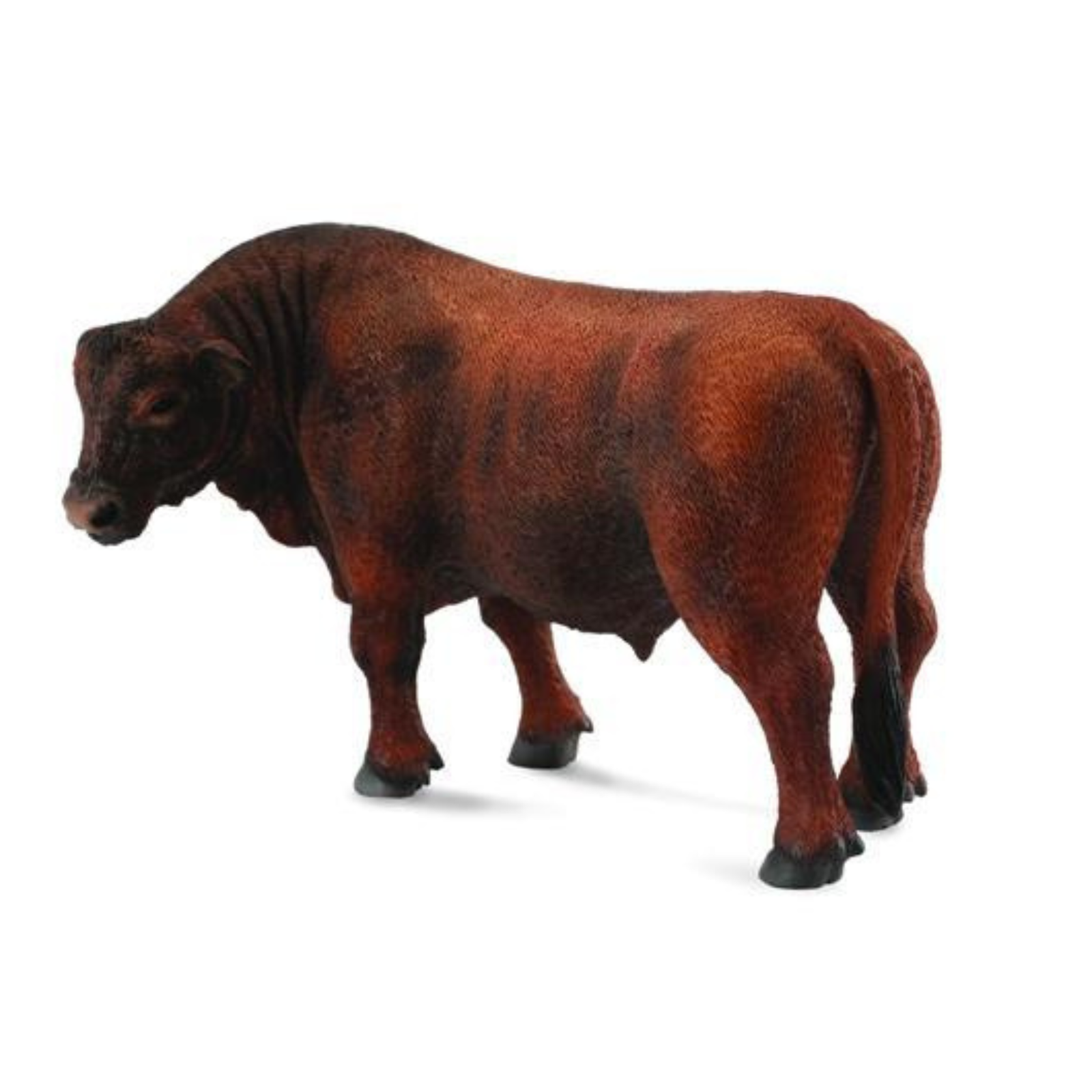 Collecta Red Angus Bull. Brown bull figurine on a white background