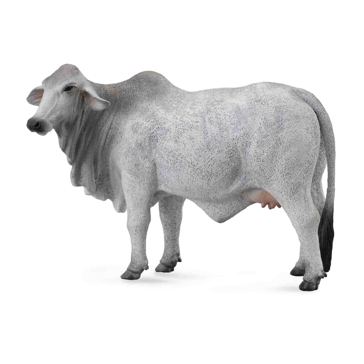 Collecta Grey Brahman Cow. Gray cow on a white background