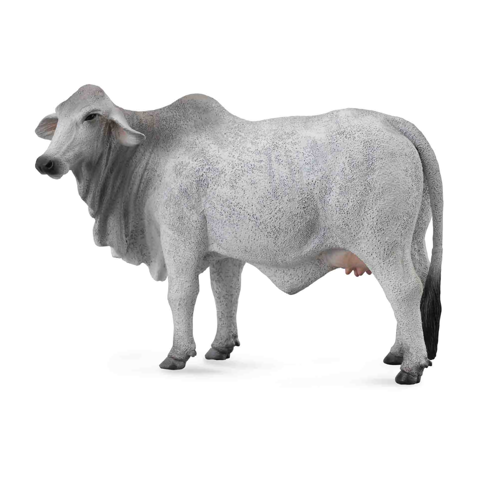 Collecta Grey Brahman Cow. Gray cow on a white background