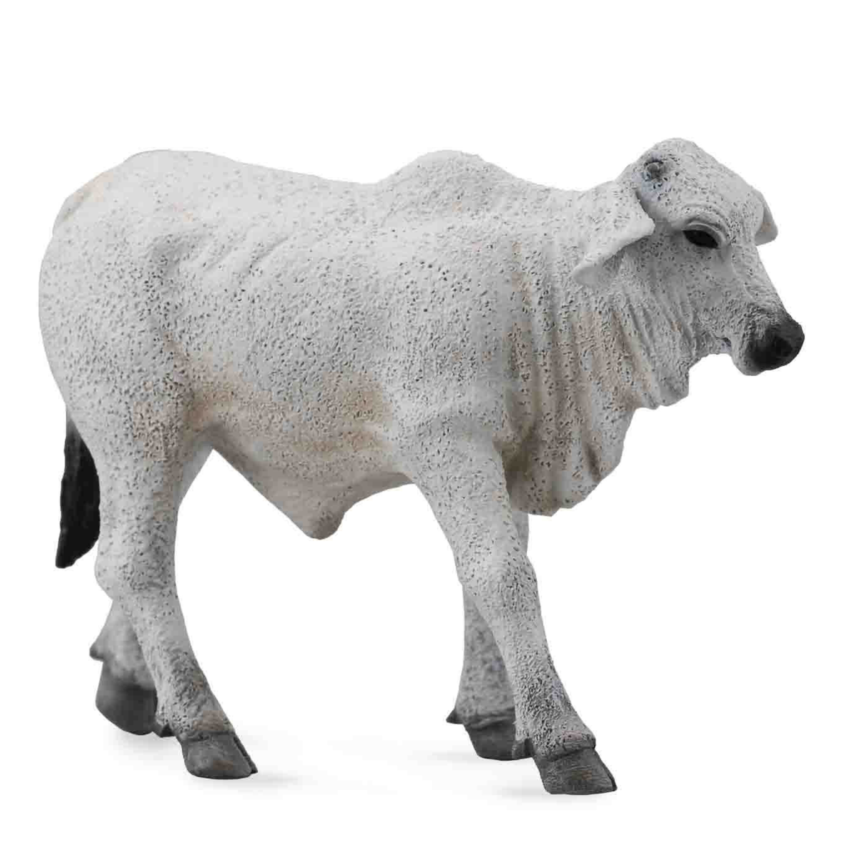 Collecta Grey Brahman Calf. Gray cow figurine on a white background