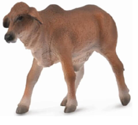 Collecta Red Brahman Calf. A toy figurine of a red brahman calf made from PVC with non-toxic paint.